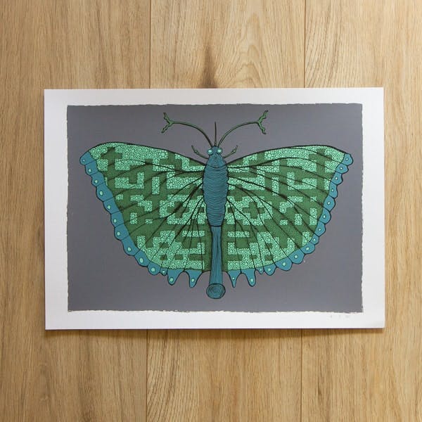 Shop - Patterned Butterfly